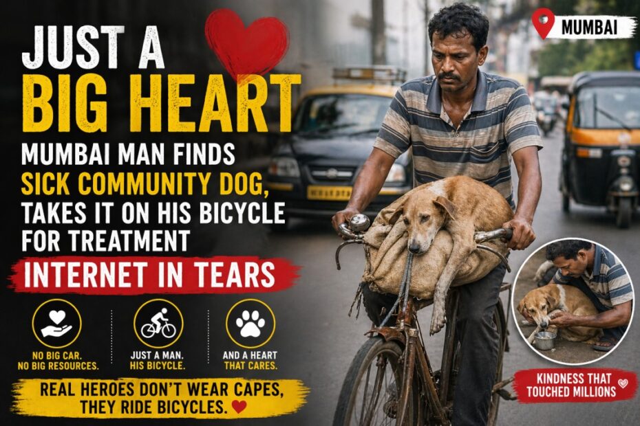 Mumbai man’s big heart for dog