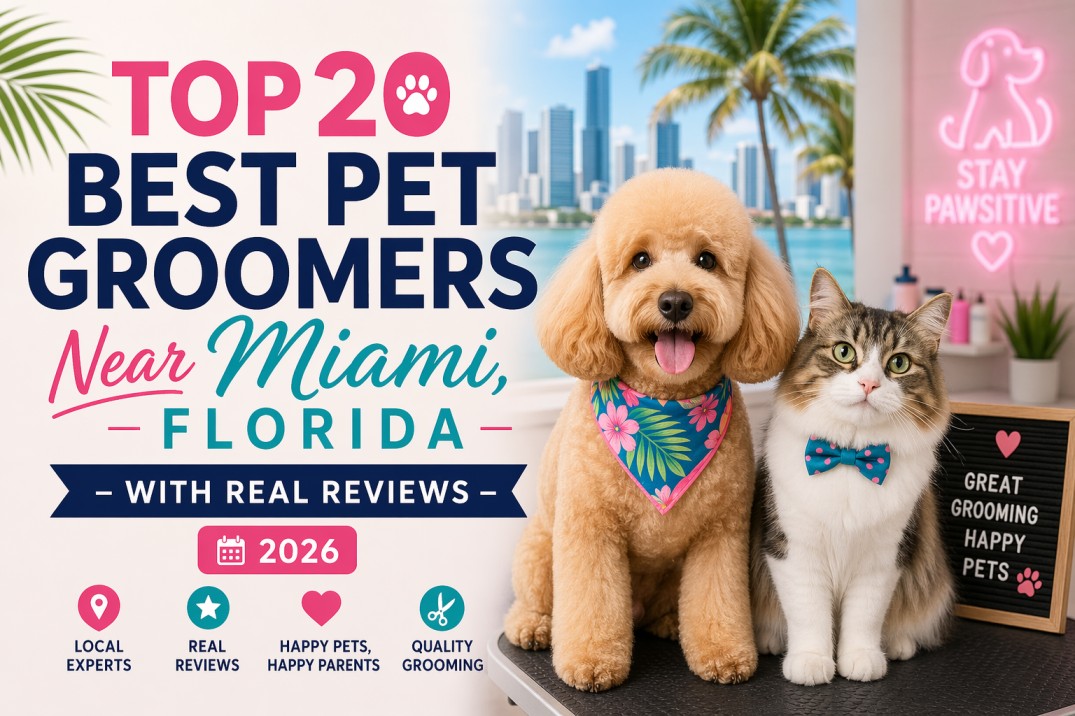 Top 20 Best Pet Groomers Near Miami, Florida – With Real Reviews (2026 ...